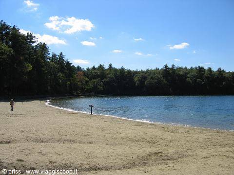 Walden pond