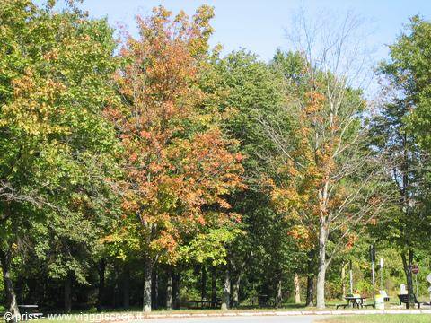 we were talking about indian summer...