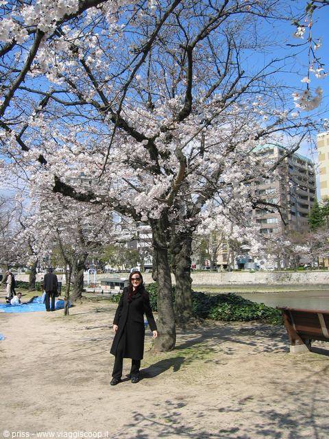 Donna in cappotto nero sotto i ciliegi in fiore lungo il fiume a Hiroshima
