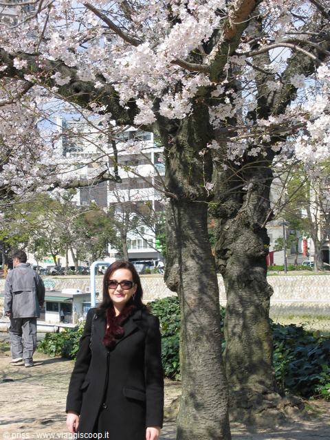 Donna in cappotto nero sotto un ciliegio in fiore, lungo il fiume a Hiroshima