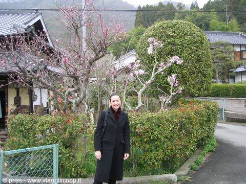 Sorridente tra i casegiati tradizionali e gli alberi in fiore, Koyasan