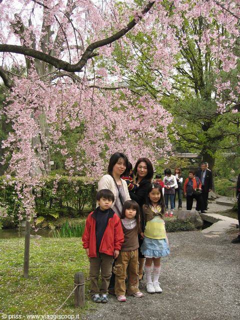 family of japanese taking photos
