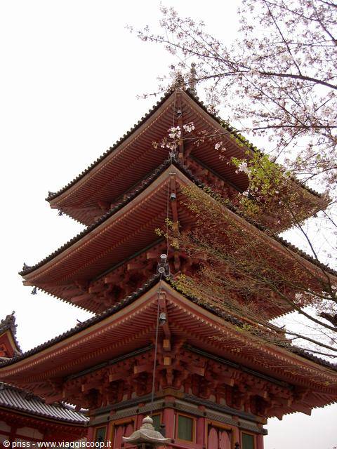 Pagoda a cinque piani in legno rosso tra i rami di ciliegio, Miyajima