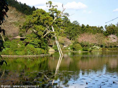 Ritsurin Garden: pond reflecting trees, blooming cherry blossoms and pavilion