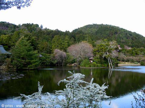 Pond reflecting trees and green hill, wooden pavilions, white blossoms, Kyoto