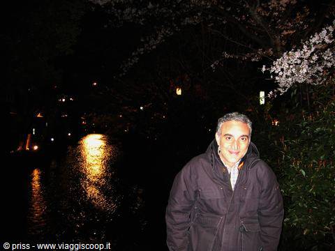 Smiling man beside a night canal with lanterns and blossoming cherry trees, Gion