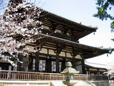 Todai-ji temple in Nara, dark wood with cherry blossoms and stone lantern