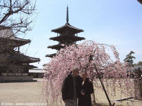 Couple under a blooming weeping cherry tree in front of Hōryū-ji pagoda