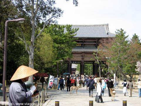 Monk in straw hat before Todai-ji's great wooden gate, deer among visitors