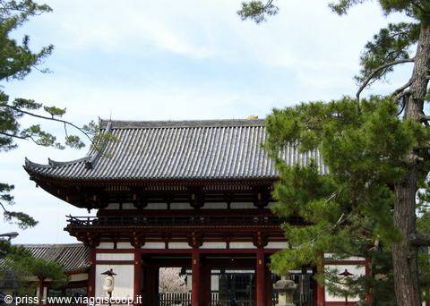 Todai-ji temple gate framed by pines, grey tiled roof and red wood
