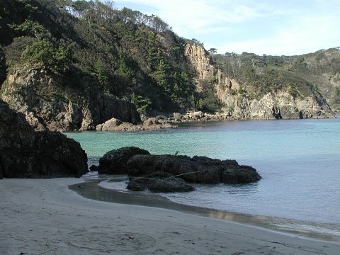 Cove with pale sand, dark rocks and turquoise water beneath pine-covered cliffs