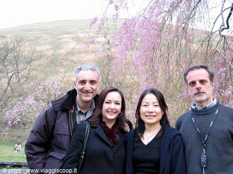 Four people posing together beneath blooming pink cherry trees, bare hill behind
