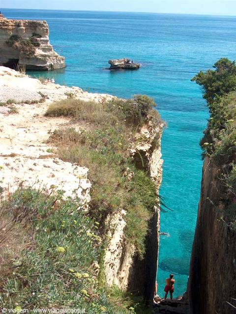Crevice
