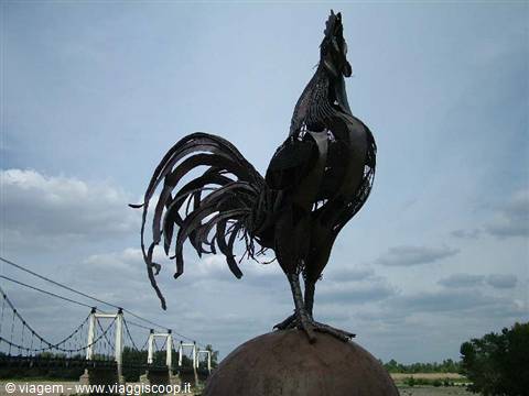 The little rooster