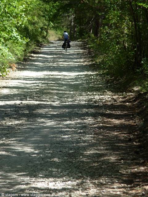 Cycling of other times!