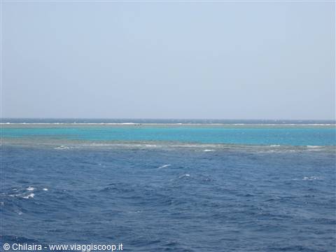 Dolphin Bay...