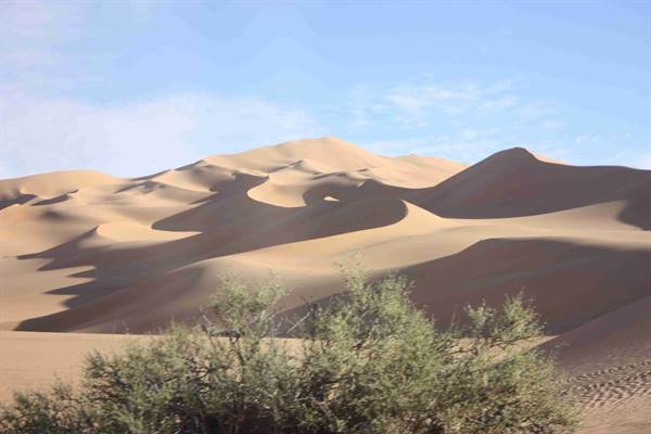 Desert