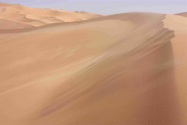 Desert