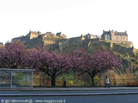 The castle of Edinburgh
