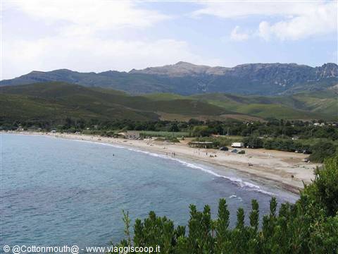 Sandy beach with umbrellas beneath green mountains, turquoise sea, bushes in foreground