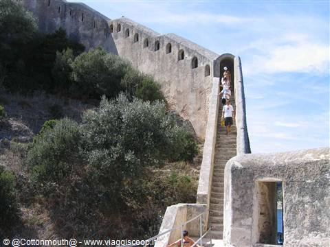 Tourists climbing the stone staircase of Dubrovnik city walls among bushes