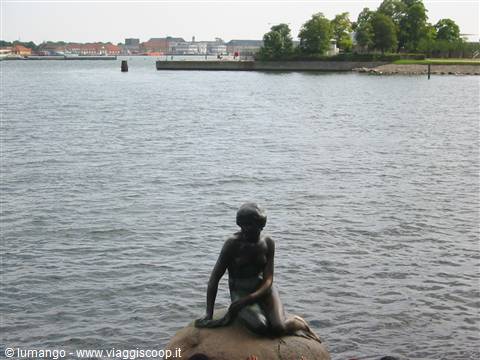 LITTLE MERMAID