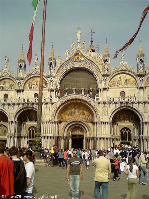 A pig in St Mark's Square
