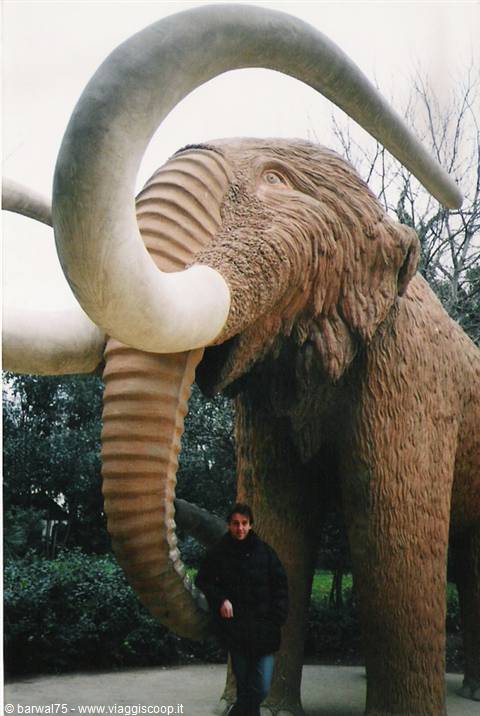 Woolly mammoth statue with huge curved tusks, man in black jacket posing beside