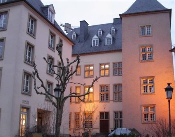 Bare tree and street lamps in front of historic slate-roofed buildings in Luxembourg