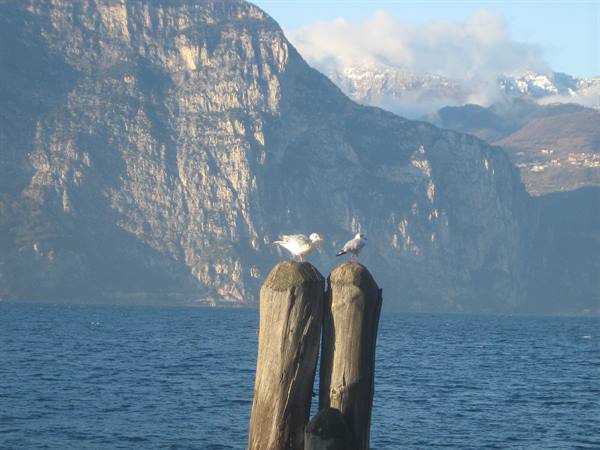 Lake Garda