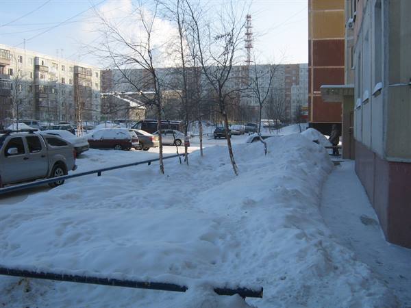 Cars parked in snow in a residential courtyard, bare trees, winter light