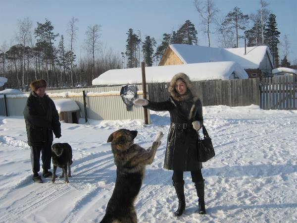 Siberian Dacha