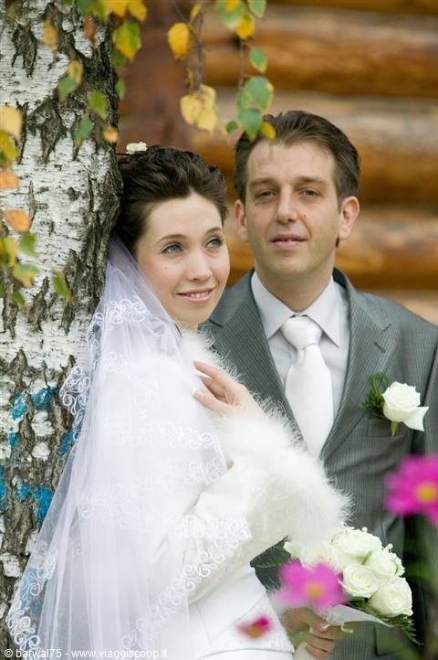Bride in veil and groom in gray under a birch, before log walls