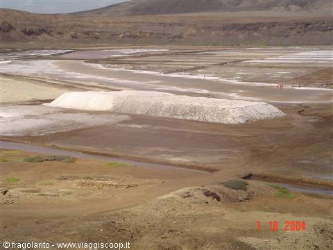 SALT FLAT