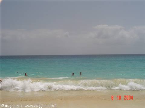 Swimmers in turquoise water among white waves on light sand