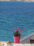 Pink pot with red flowers on white wall facing turquoise sea