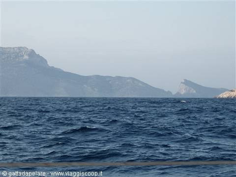 sailing