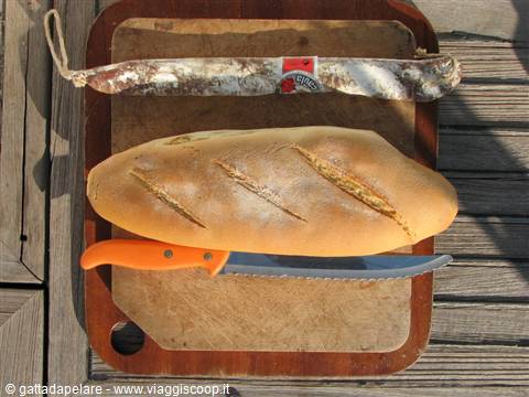 Fresh bread, salami and orange knife on wooden cutting board in sunlight