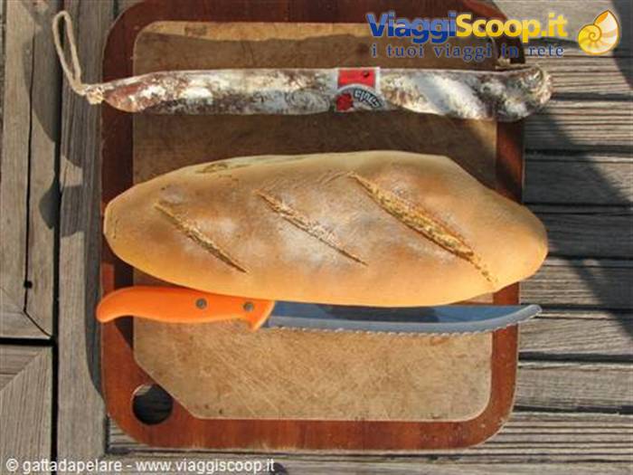 Fresh bread, salami and orange knife on wooden cutting board in sunlight