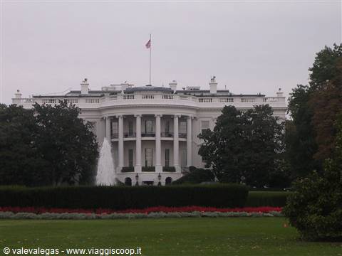 The White House behind trees with fountain and red flowerbeds, gray sky