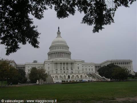 The Capitol in Washington framed by branches, green lawn, gray sky