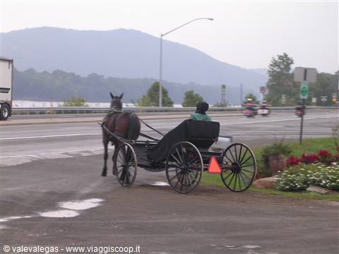 Amish horse and buggy traveling along a rainy mountain roadside