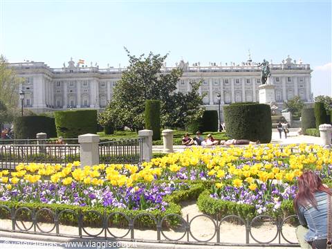 Plaza de Oriente gardens with yellow tulips in front of Madrid's Royal Palace