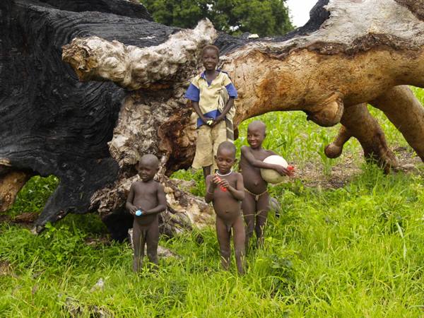 Children beside a huge fallen tree trunk in green grass