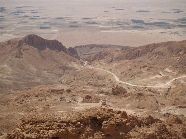 Rommel's track