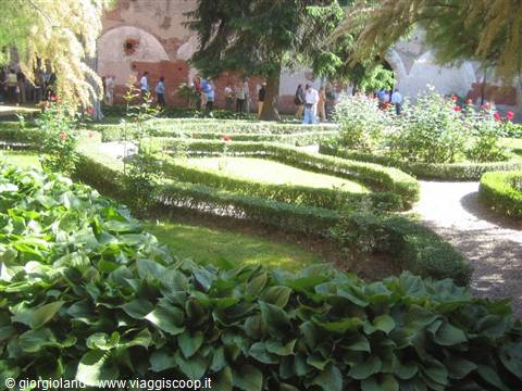 Visitors in a Renaissance garden with box hedges, roses and green leaves in sunlight