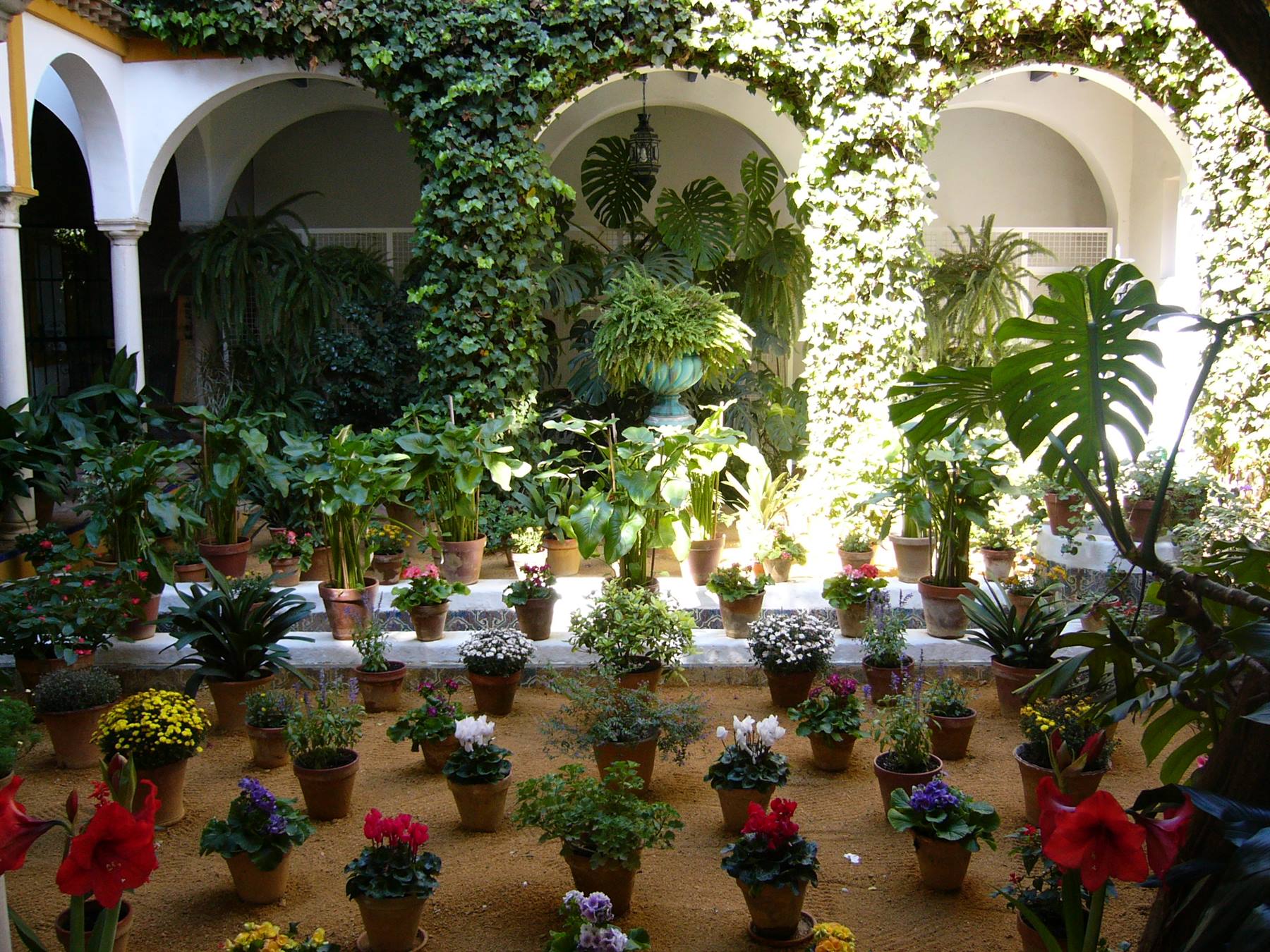 patio in Cordoba