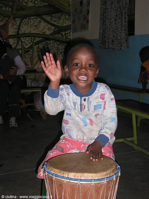 THE BONGOS!!!!
