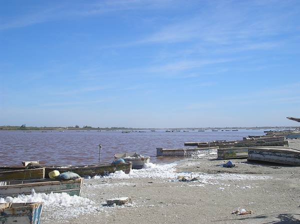 the pink lake