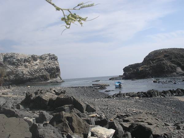 Blue boat among black rocks and cliffs, green branch in foreground